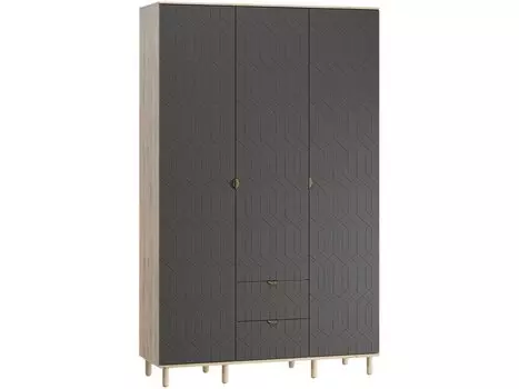 Распашной шкаф Теджонс-3 Deco Grafit