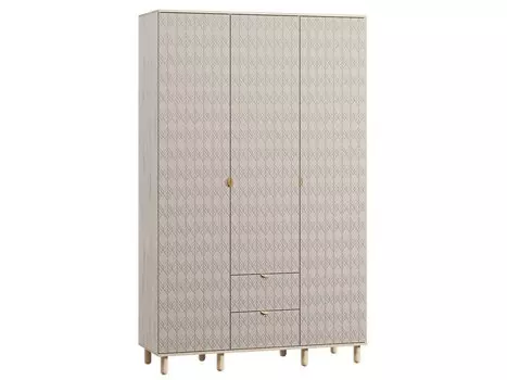 Распашной шкаф Теджонс-3 Leaf Santiago