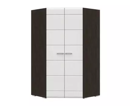 Распашной шкаф Вегас