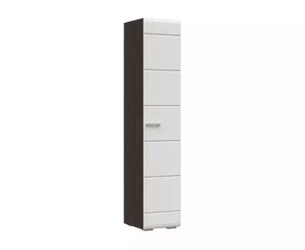 Распашной шкаф Вегас