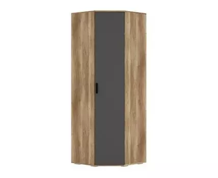 Распашной шкаф Вегас