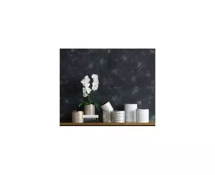 Растение декоративное Орхидея