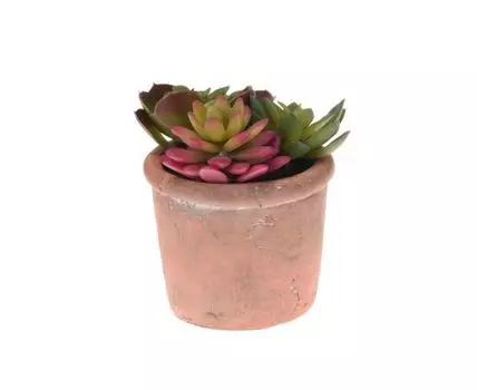Растение искусственное TERRACOTTA
