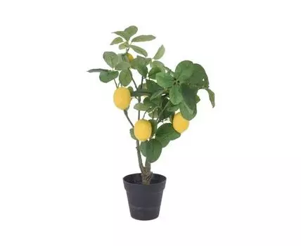 Растение искуственное Fruit tree