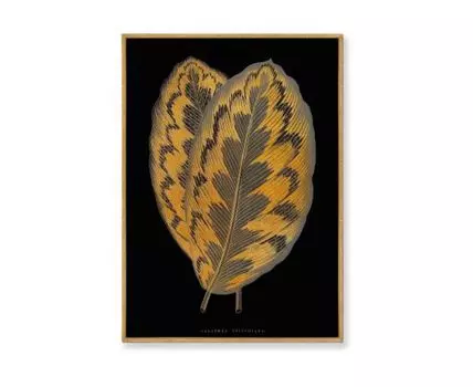 Репродукция картины на холсте Calathea Veitchiana leaf, 1865г. (мультиколор, золотистый, 75)