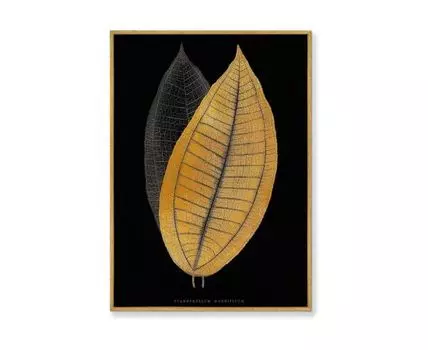 Репродукция картины на холсте Calophyllum inophyllum leaf, 1865г. (мультиколор, золотистый, 75)