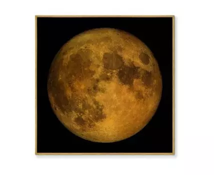 Репродукция картины на холсте Full lunar view, on a black (мультиколор, золотистый, 105)