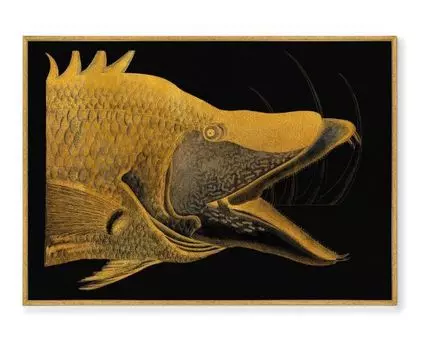 Репродукция картины на холсте Great Hog-Fish, 1754г. (мультиколор, золотистый, 75)