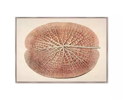 Репродукция картины на холсте Leaf of a gigantic water lily, 1870г. (мультиколор, 105)