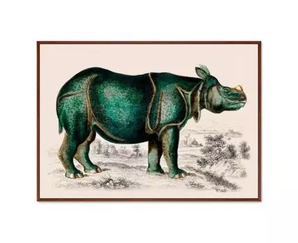 Репродукция картины на холсте Rhinoceros, 1774г. (мультиколор, 105)