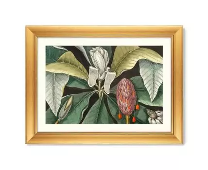 Репродукция картины в раме Beauty bloom №2, 1732г. (золотистый, 80,5)