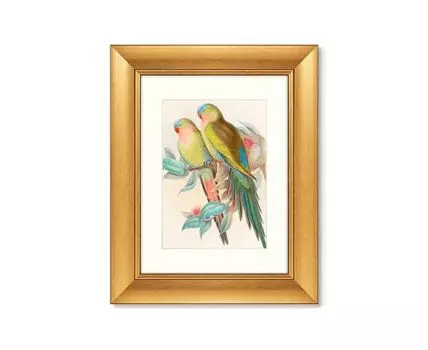 Репродукция картины в раме Love parrots, 1850г. (золотистый, 40,5)