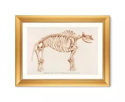 Репродукция картины в раме Mamoth, 1849г. (золотистый, 80,5)