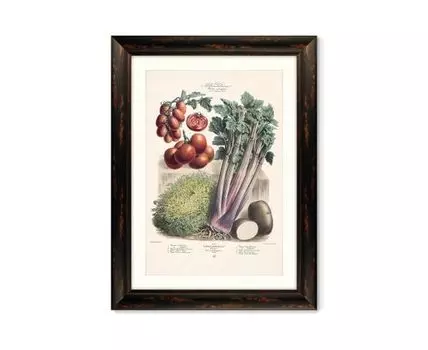 Репродукция картины в раме Vilmorin Andrieux & Cie, Альбом №37, 1886г. (темно-коричневый, 60,5)