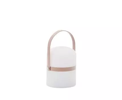 Ridley mini Настольная лампа LED с ручкой розового цвета