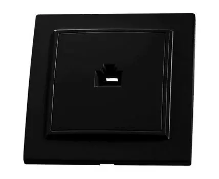 Розетка Ethernet RJ-45 Stekker Эрна 39475