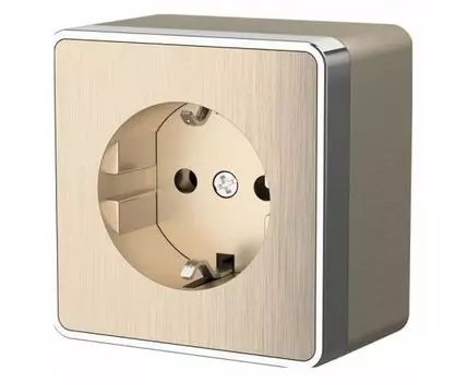 Розетка с заземлением Werkel Gallant (шампань рифленый) W5071010