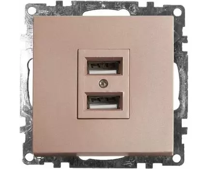 Розетка USB, без рамки Stekker Катрин 39602