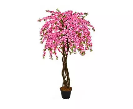 Сакура Юнита