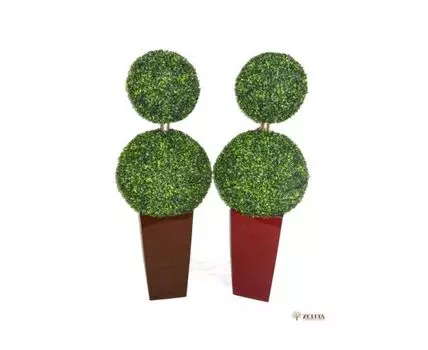 Самшит Пикче в высоком кашпо