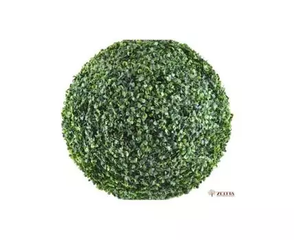 Самшит шар на каркасе