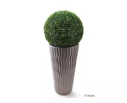 Самшит Тэмм 48см в кашпо D39 H70