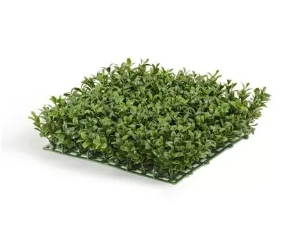 Самшитовый коврик Новый