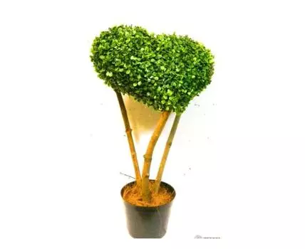 Сердце из самшита