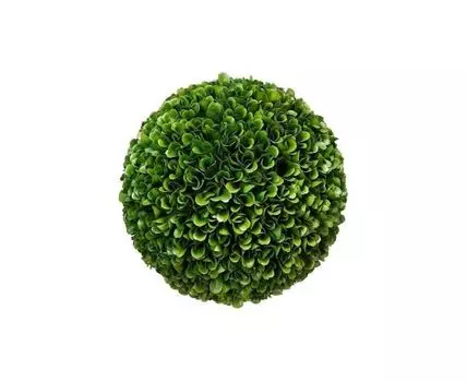 Шар декоративный Самшит