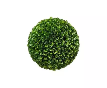 Шар декоративный Самшит