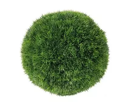 Шар декоративный Самшит