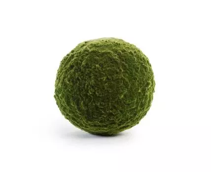 Шар из мха д-50 см