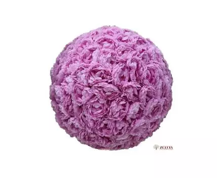 Шар из Пионов