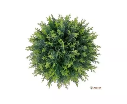 Шар Туи Порше