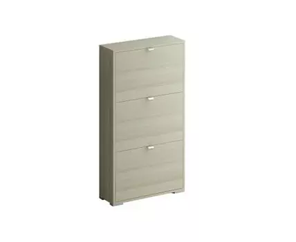 Шкаф для обуви Reggy 3