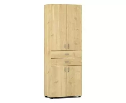 Шкаф комбинированный Лидер СТ.029.800-01