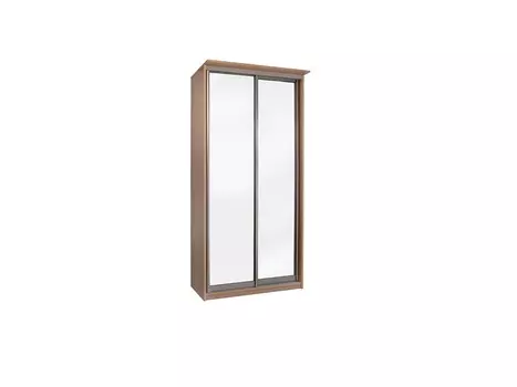 Шкаф-купе 2х дв элит