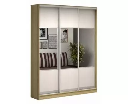 Шкаф-купе Антонио-3.1 2300x400x2200 мм