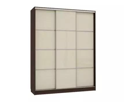 Шкаф-купе Бассо 2 (230.5, 60 см, Прямые, Темное-светлое дерево, 180 см)