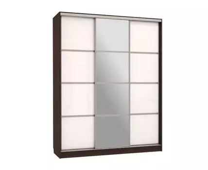 Шкаф-купе Бассо 2 с зеркалом (230.5, 60 см, Прямые, Темное-светлое дерево, 180 см)