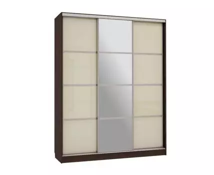 Шкаф-купе Бассо 2 с зеркалом (230.5, 60 см, Прямые, Темное-светлое дерево, 180 см)