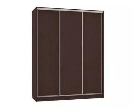 Шкаф-купе Бассо 5