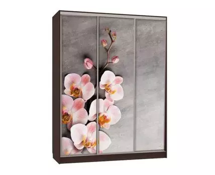 Шкаф-купе Бассо 7 Цветы 2 (230.5, 60 см, Прямые, венге, 180 см)