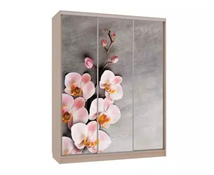 Шкаф-купе Бассо 7 Цветы 2 (230.5, 60 см, Прямые, Светлое дерево, 180 см)