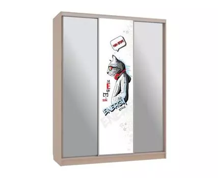 Шкаф-купе Бассо 9 Энерджи (230.5, 60 см, Прямые, Светлое дерево, 180 см)