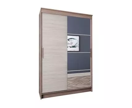 Шкаф-купе Элегант 4