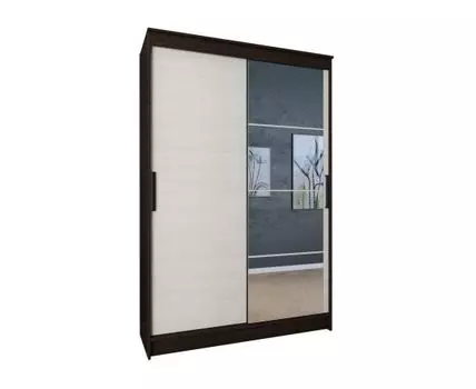 Шкаф-купе Элегант 4