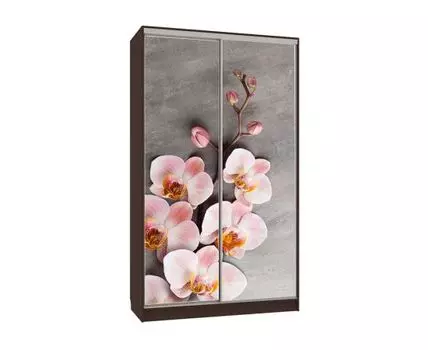 Шкаф-купе Колорадо 7 Цветы 2 (231, 60 см, Прямые, венге, 120 см)