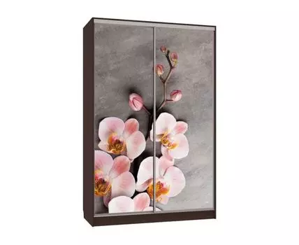 Шкаф-купе Колорадо 7 Цветы 2 (231, 60 см, Прямые, венге, 150 см)