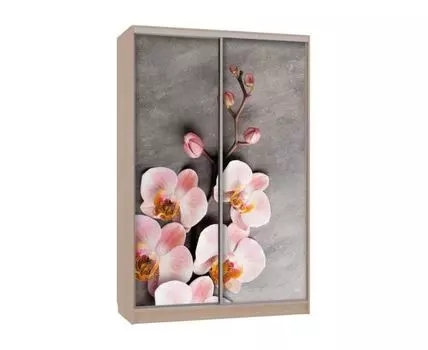Шкаф-купе Колорадо 7 Цветы 2 (231, 60 см, Прямые, Светлое дерево, 150 см)